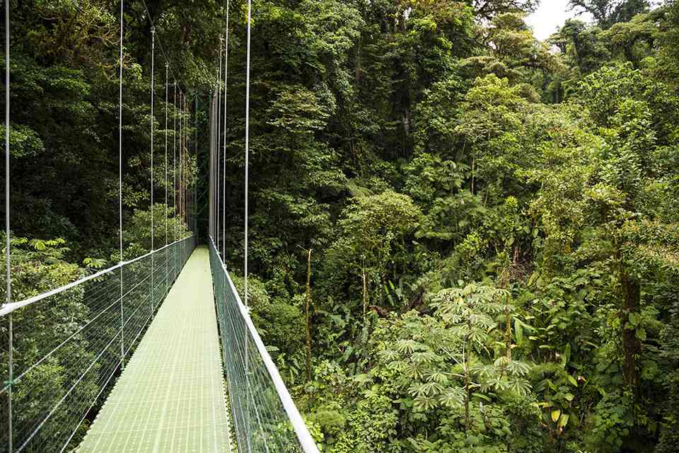 ETIAS for Costa Rican Citizens featured image