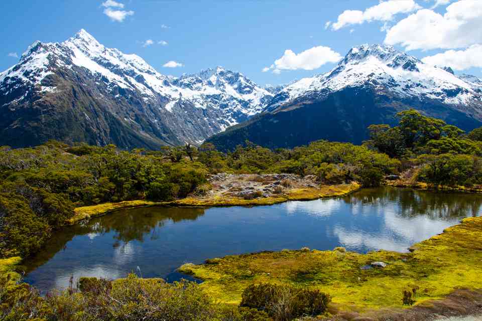 ETIAS for Kiwi Citizens featured image